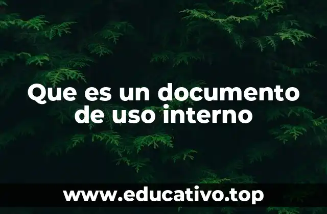 Que es un documento de uso interno