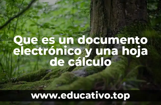Que es un documento electrónico y una hoja de cálculo