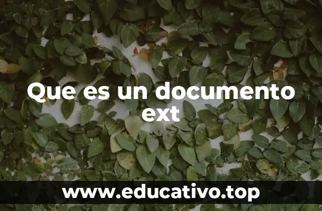 Que es un documento ext