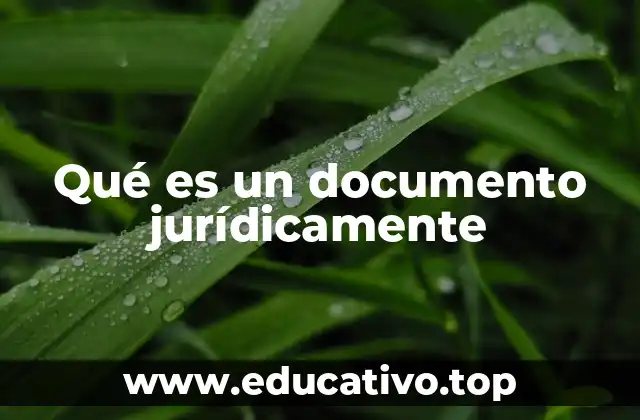 Qué es un documento jurídicamente