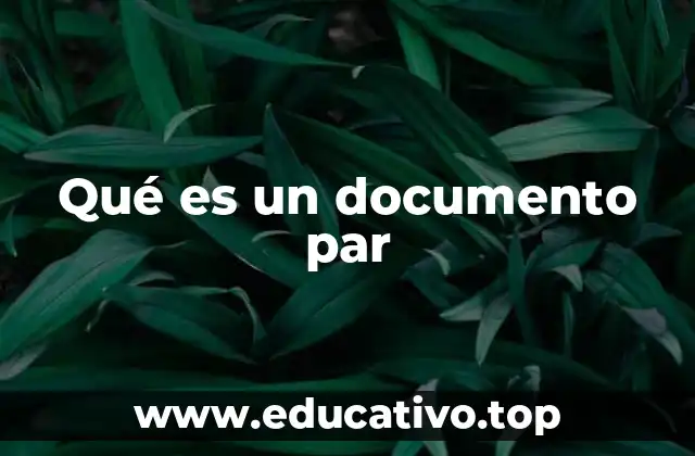 Qué es un documento par