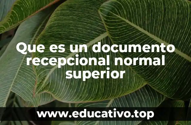 Que es un documento recepcional normal superior