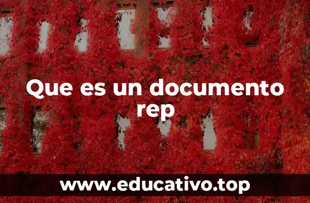 Que es un documento rep