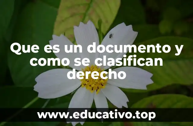 Que es un documento y como se clasifican derecho