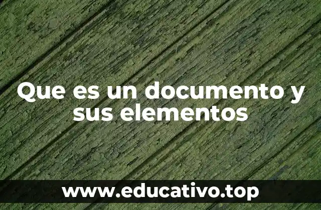 Que es un documento y sus elementos