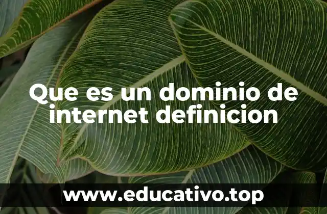 Que es un dominio de internet definicion