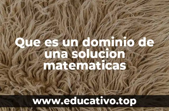 Que es un dominio de una solucion matematicas