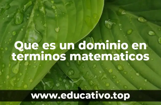 Que es un dominio en terminos matematicos