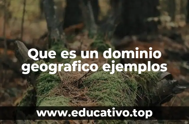Que es un dominio geografico ejemplos