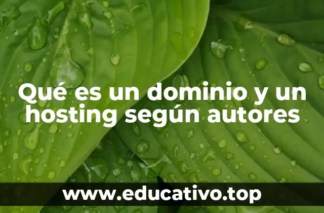 Qué es un dominio y un hosting según autores