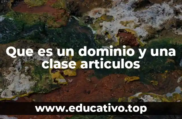 Que es un dominio y una clase articulos