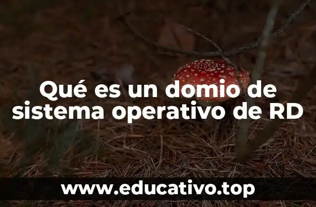 Qué es un domio de sistema operativo de RD