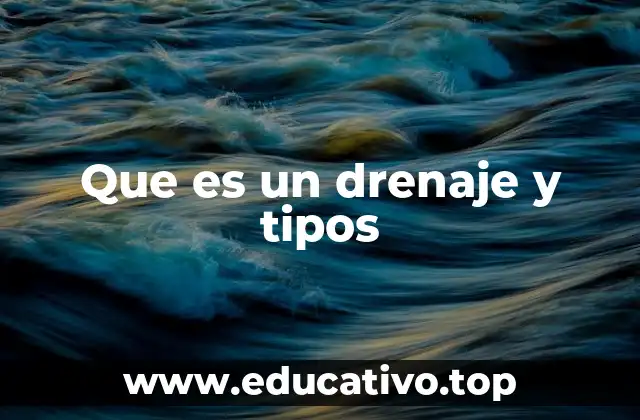 La importancia de los sistemas de drenaje en la vida moderna