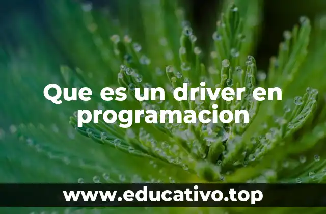 Que es un driver en programacion