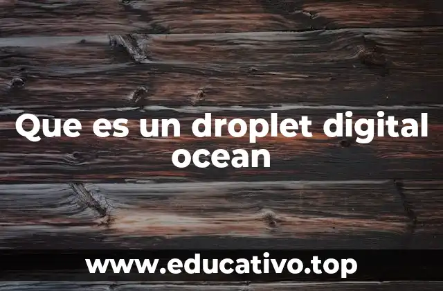 Que es un droplet digital ocean