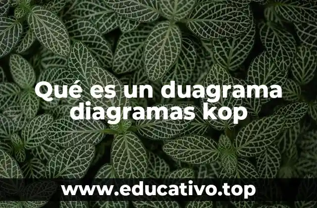 Qué es un duagrama diagramas kop