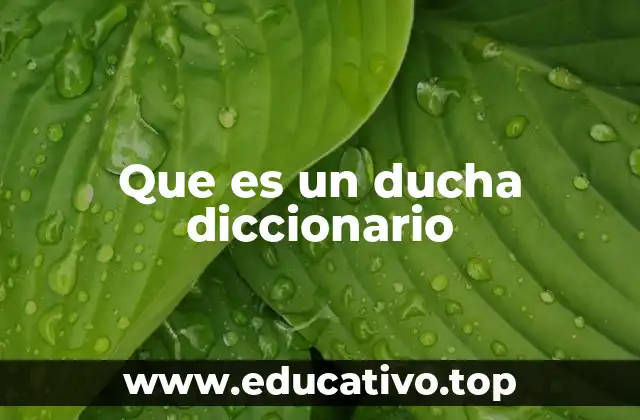 Que es un ducha diccionario
