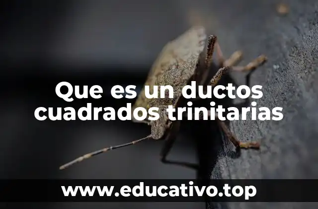 Que es un ductos cuadrados trinitarias