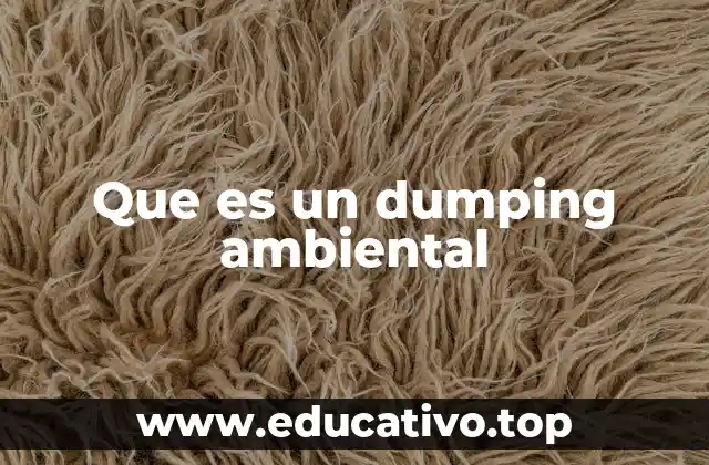 Que es un dumping ambiental