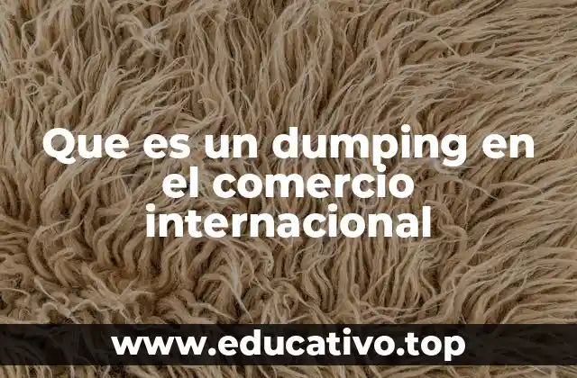 Que es un dumping en el comercio internacional