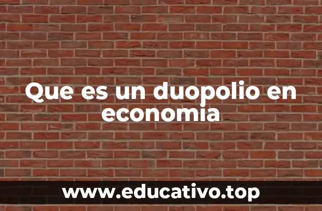 Que es un duopolio en economia