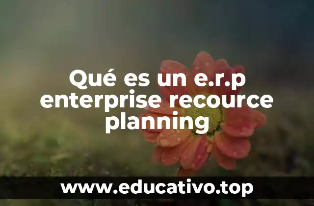 Qué es un e.r.p enterprise recource planning