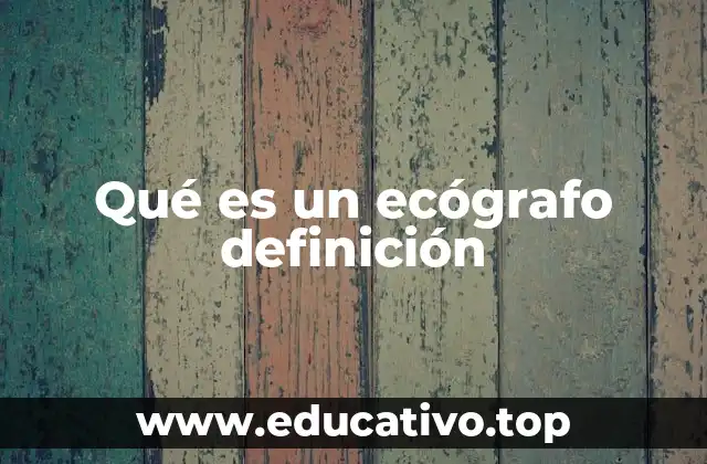 Qué es un ecógrafo definición