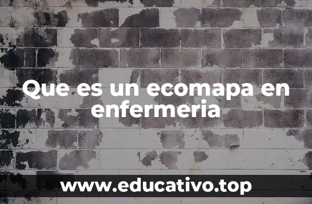 Que es un ecomapa en enfermeria