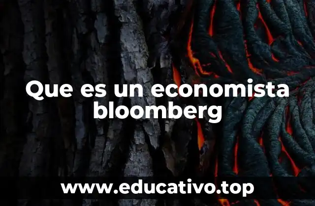 El rol del profesional en el análisis macroeconómico