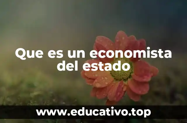 Que es un economista del estado