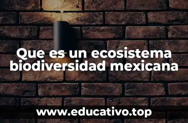 Que es un ecosistema biodiversidad mexicana
