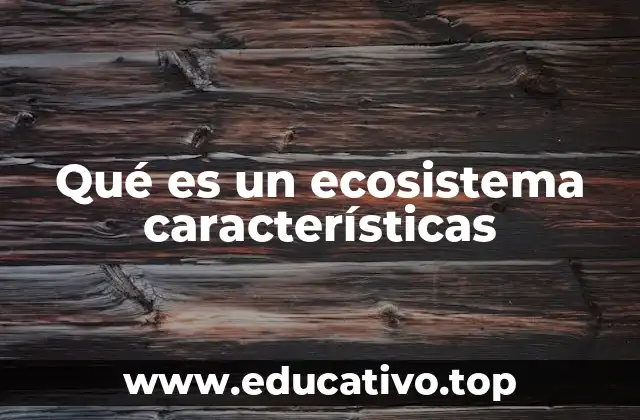 Qué es un ecosistema características