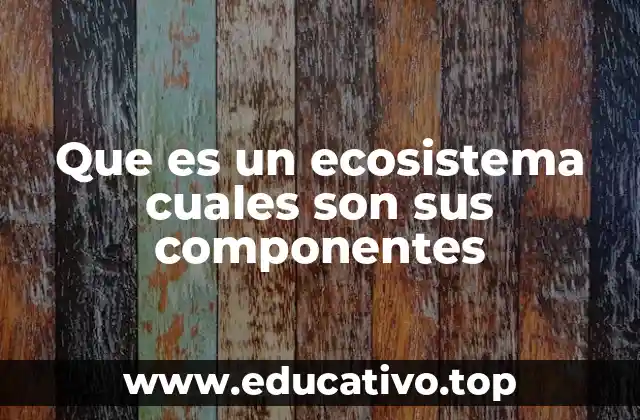 Que es un ecosistema cuales son sus componentes