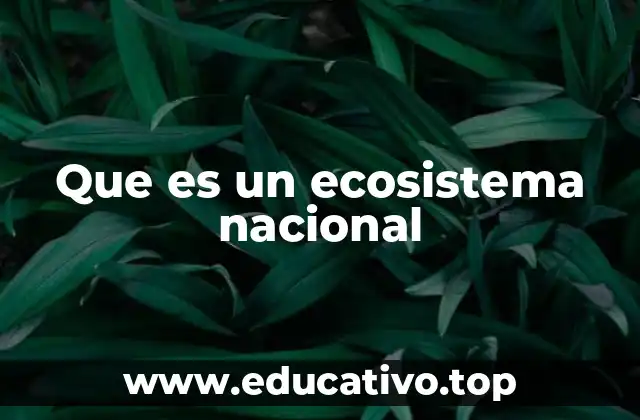Que es un ecosistema nacional