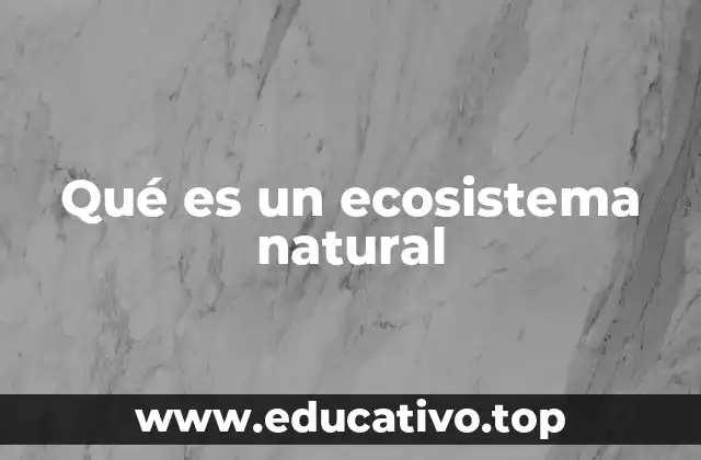 Qué es un ecosistema natural