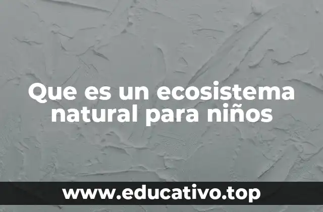 Que es un ecosistema natural para niños