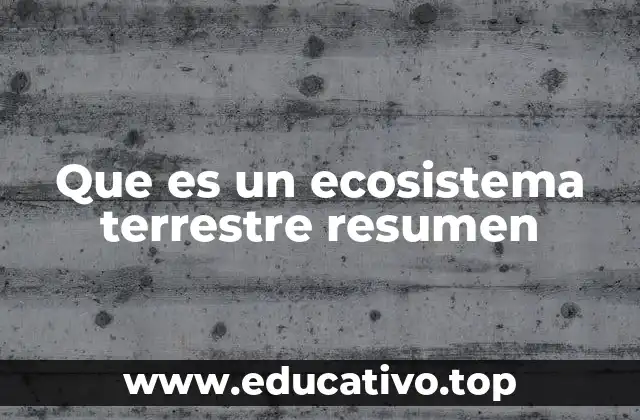 Que es un ecosistema terrestre resumen