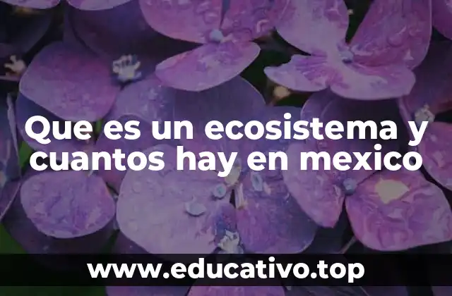 Que es un ecosistema y cuantos hay en mexico