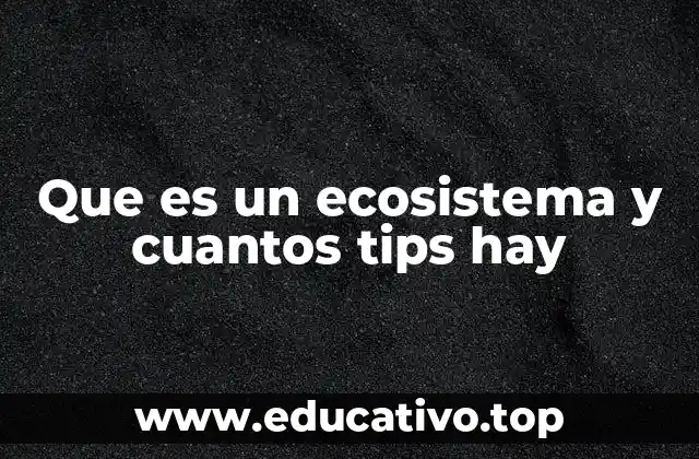 Que es un ecosistema y cuantos tips hay