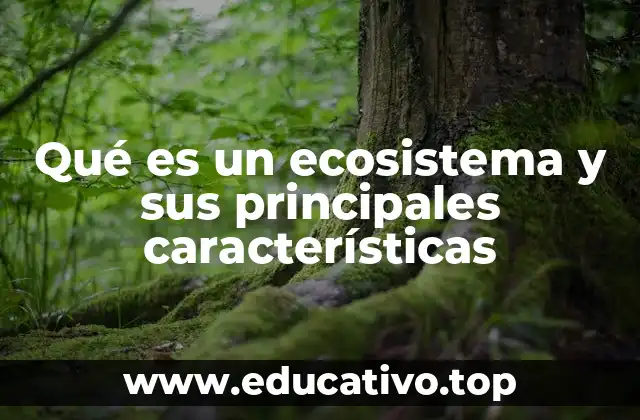 La estructura y dinámica de los ecosistemas