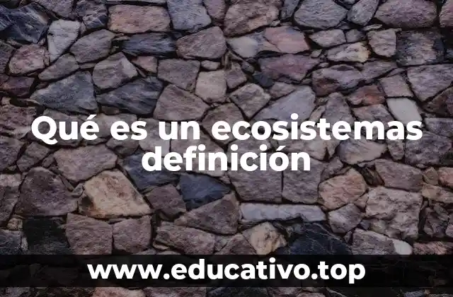 Qué es un ecosistemas definición
