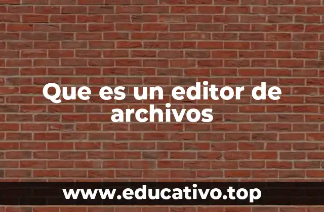 Que es un editor de archivos