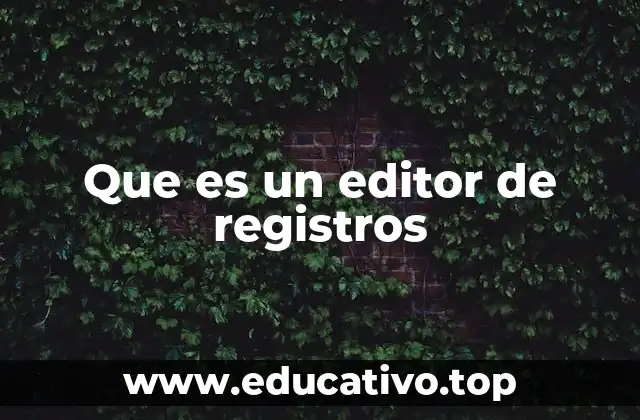 Que es un editor de registros