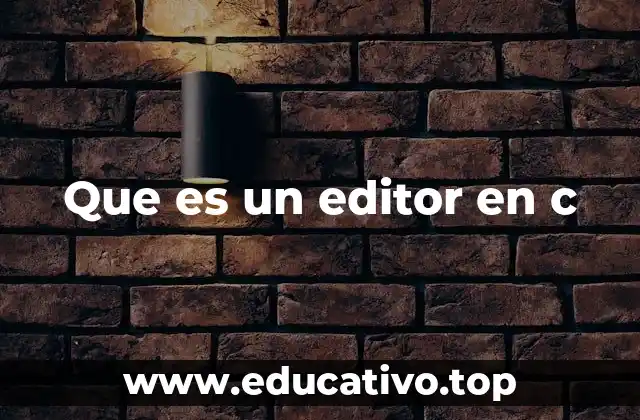 Que es un editor en c