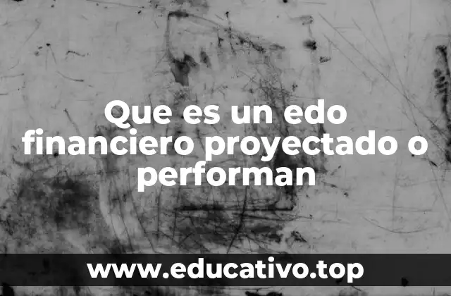 Que es un edo financiero proyectado o performan
