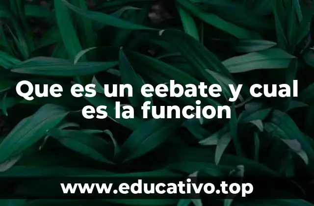 Que es un eebate y cual es la funcion