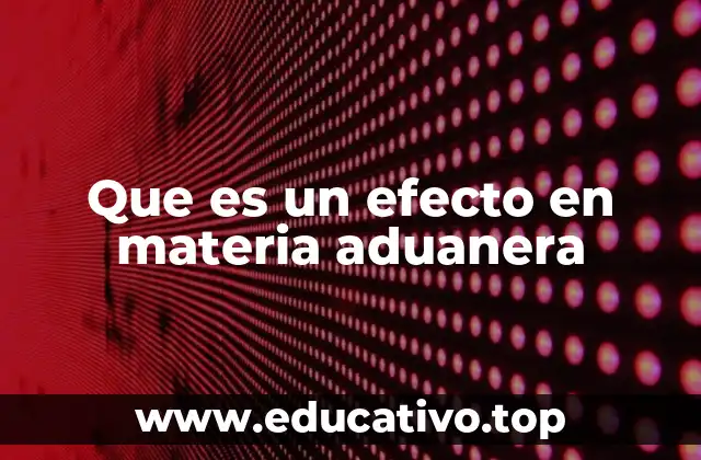 Que es un efecto en materia aduanera