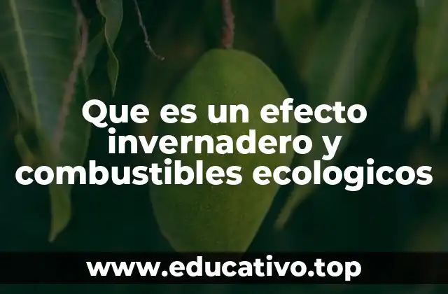 Que es un efecto invernadero y combustibles ecologicos