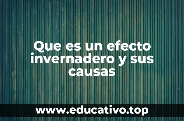 Que es un efecto invernadero y sus causas