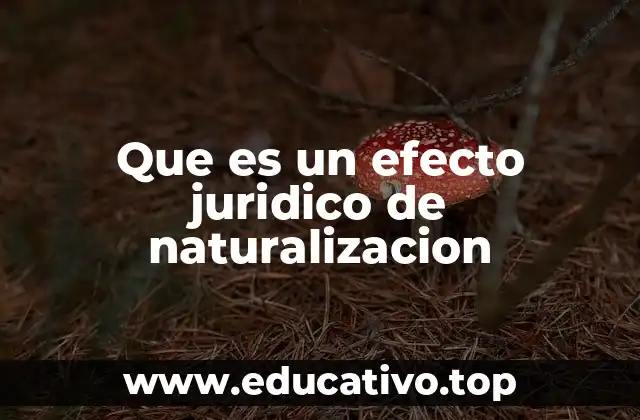 Que es un efecto juridico de naturalizacion